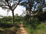 auroville_30