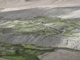 ladakh73