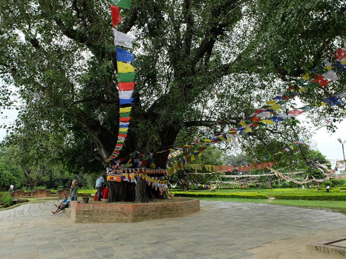 Lumbini Népal