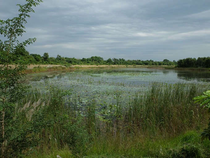 Lumbini Népal