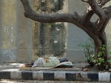 Pondicherry28