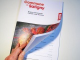 Rapport admin Commune Satigny
